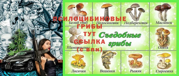 амф Балахна