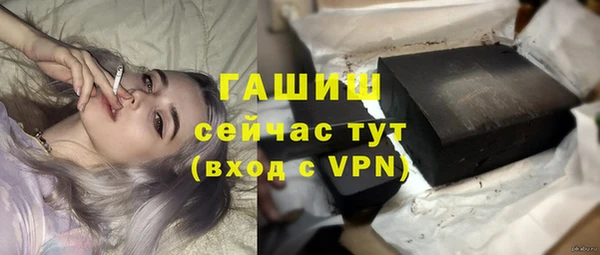 прущие грибы Балабаново