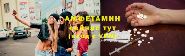 прущие грибы Балабаново