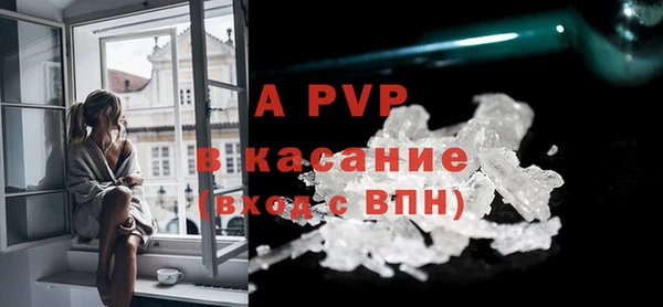 шишки Баксан
