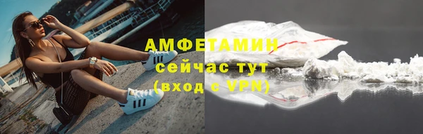 прущие грибы Балабаново