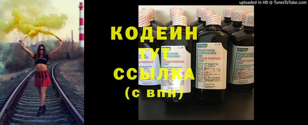 шишки Баксан