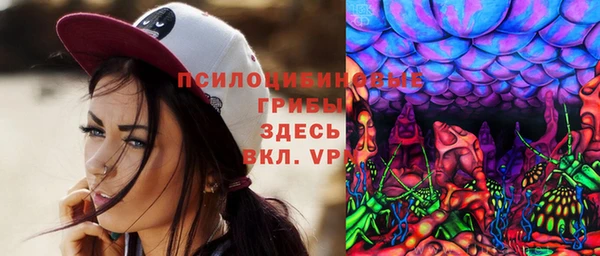 шишки Баксан