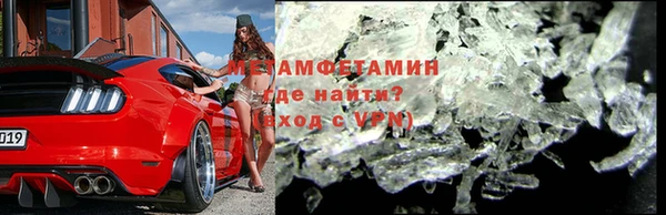 прущие грибы Балабаново
