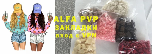 шишки Баксан
